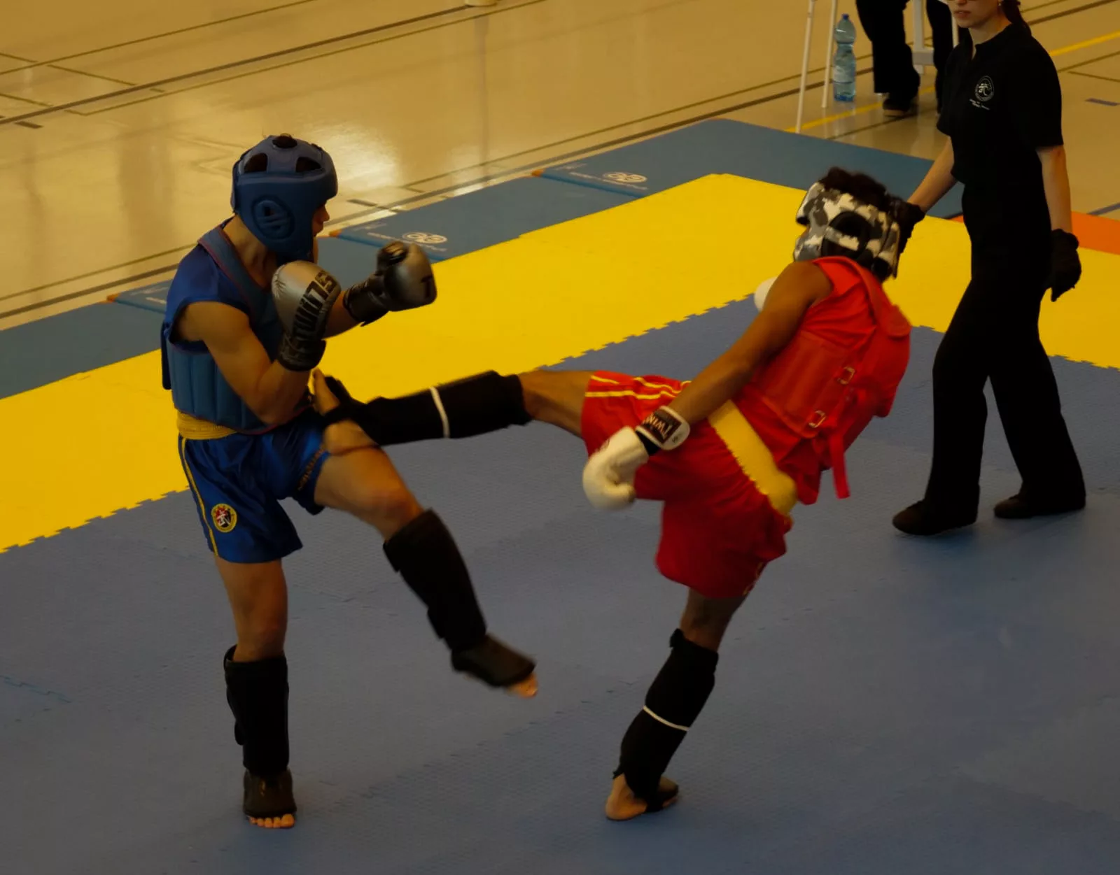 Cours de Sanda & Qingda à la World Bricpol Sport Academy